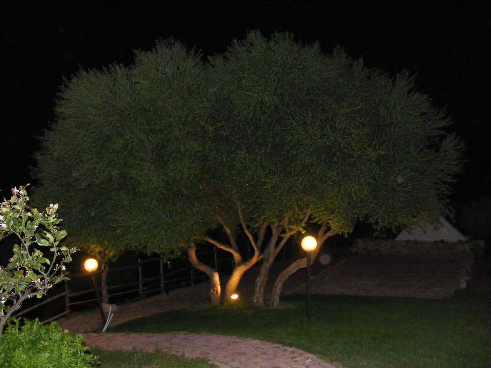 Casa di campagna Tenuta Su Vrau Posada (Sardinia)