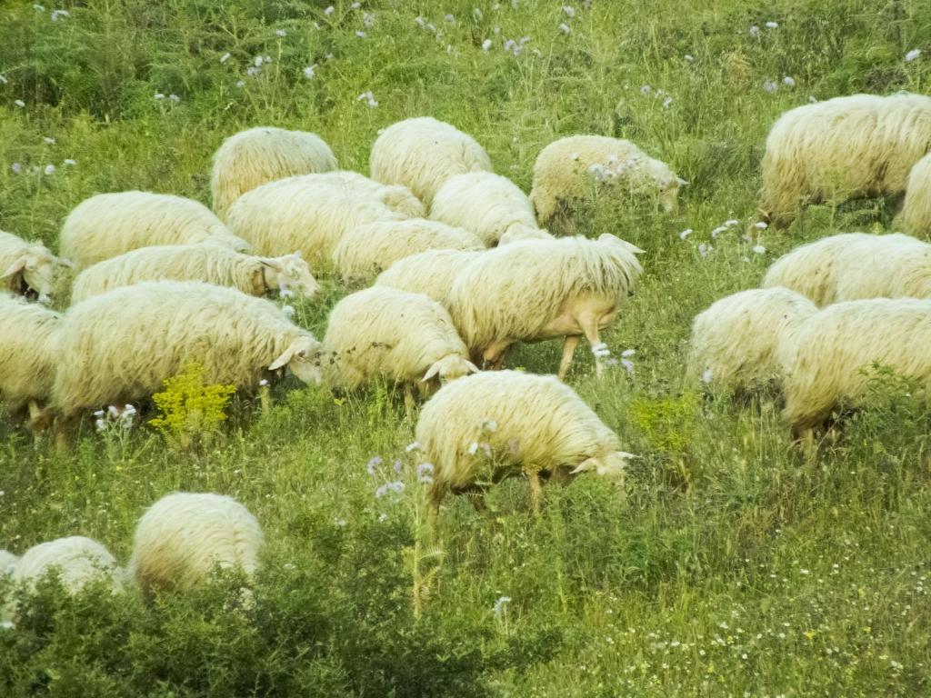 Casa di campagna Tenuta Su Vrau