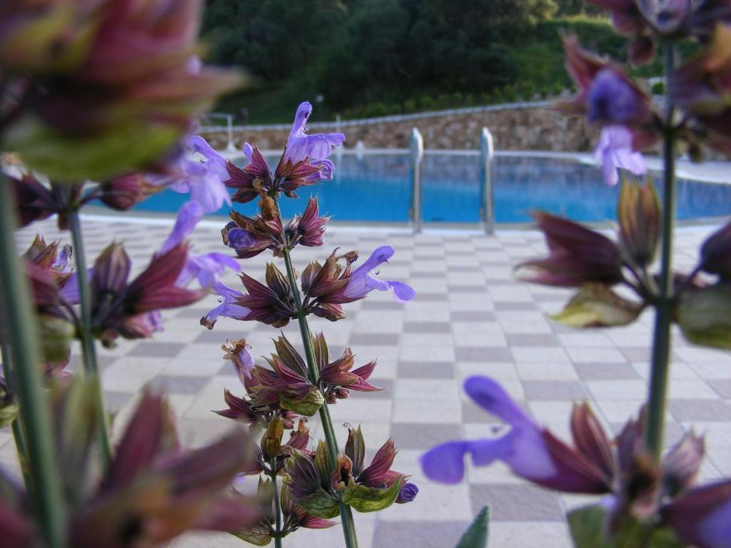 Tenuta Su Vrau Casa di campagna *